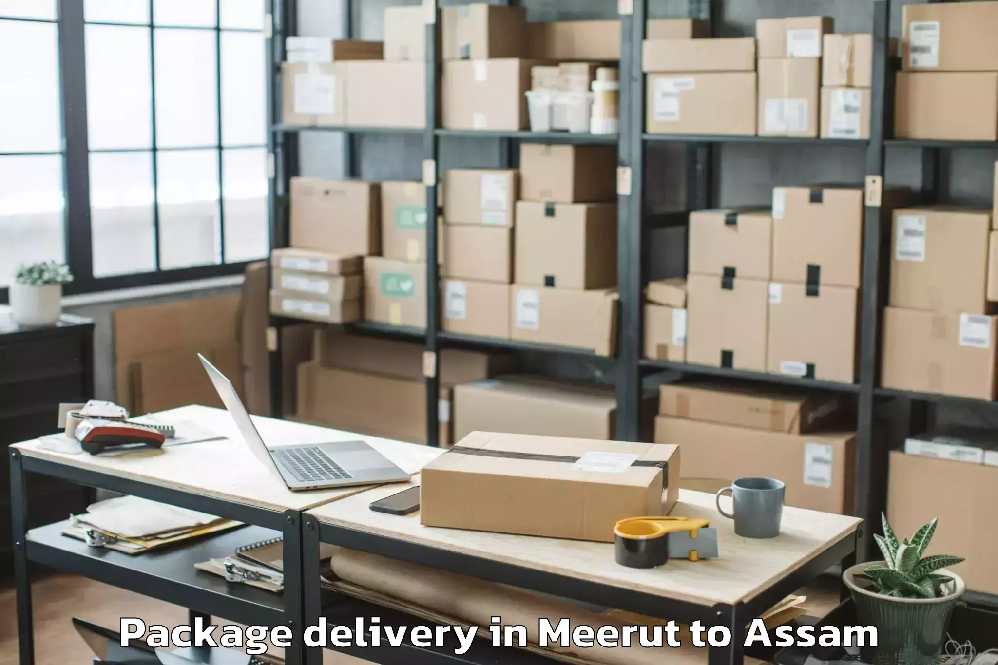 Reliable Meerut to Gossaigaon Pt Package Delivery